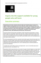 Inquiry into the support available for young people who self-harm: Summary